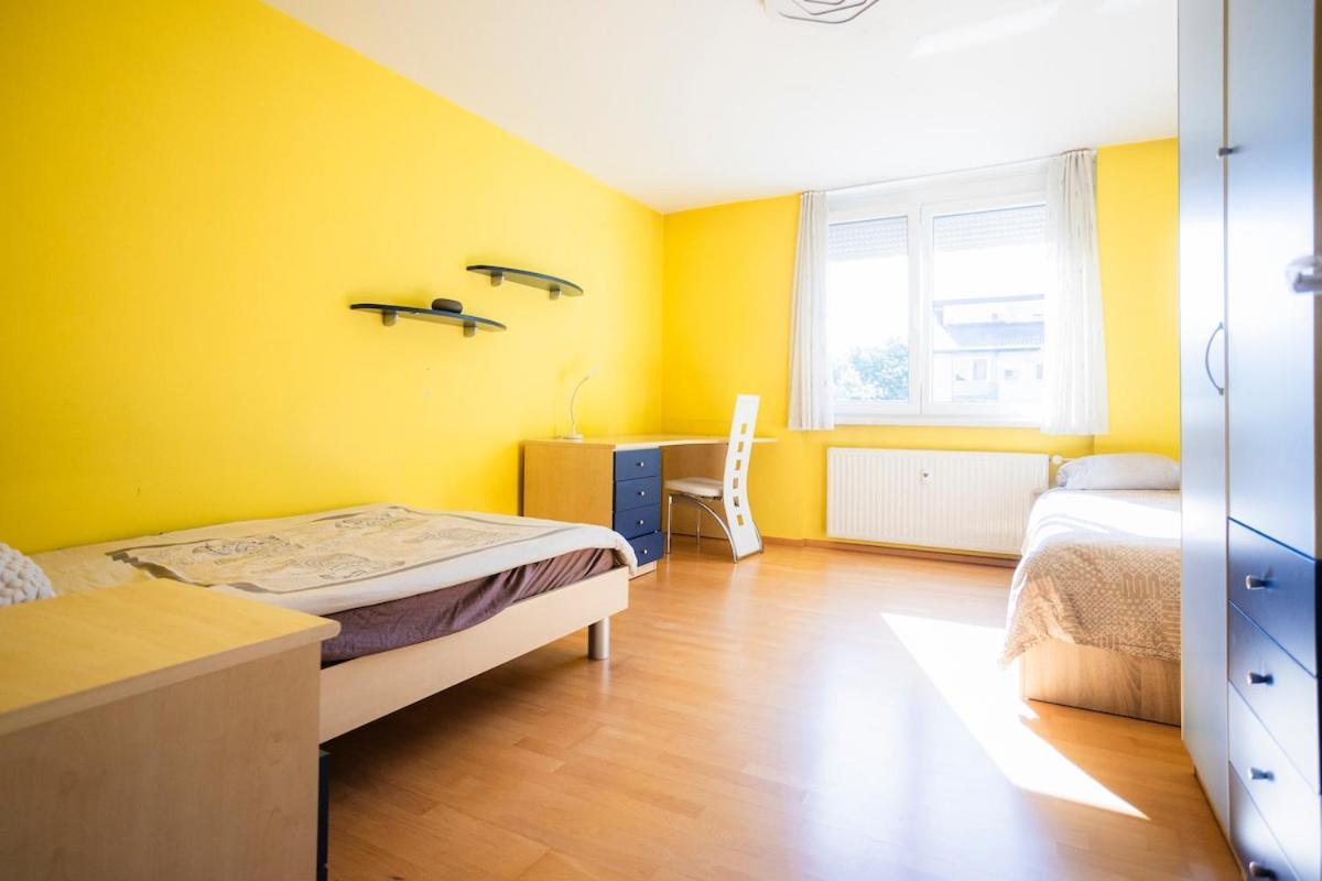 The Color Loft