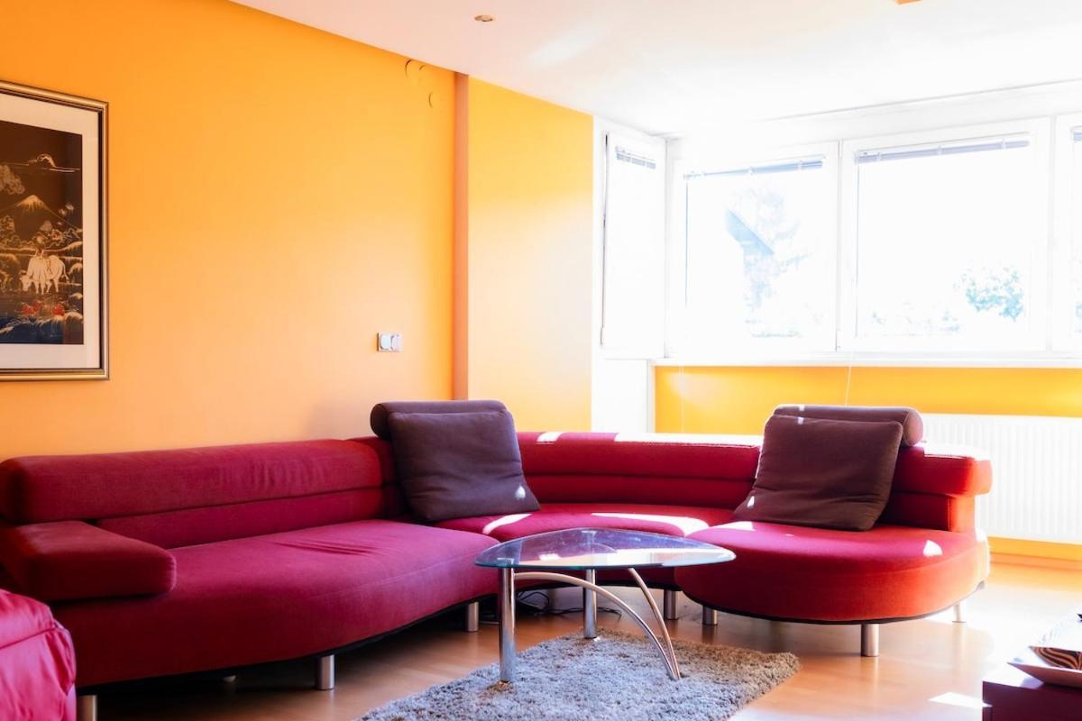 The Color Loft